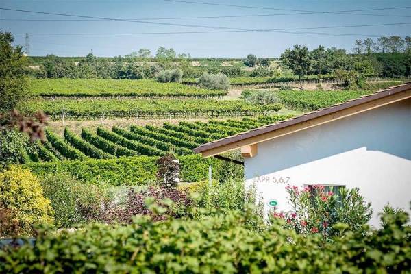 Weingut Tre Colline